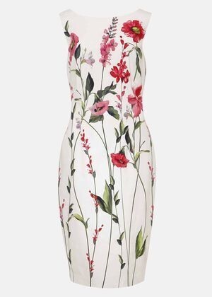 Phase Eight May Stem Rose Dress